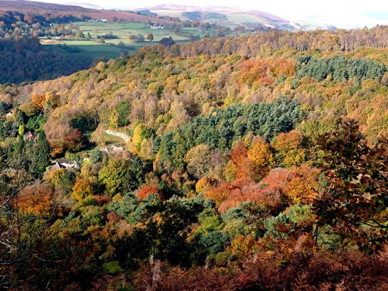 Longshaw Estate - Image 2