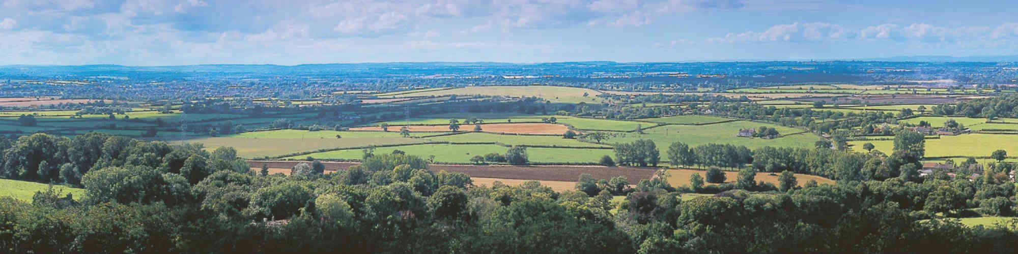 Warmley Forest Park - Image 1