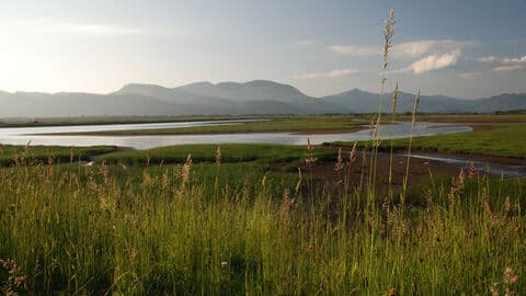 Traeth Glaslyn North Wales Wildlife Trust Nature Reserve - Main view