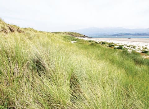 Traeth Glaslyn North Wales Wildlife Trust Nature Reserve - Image 2