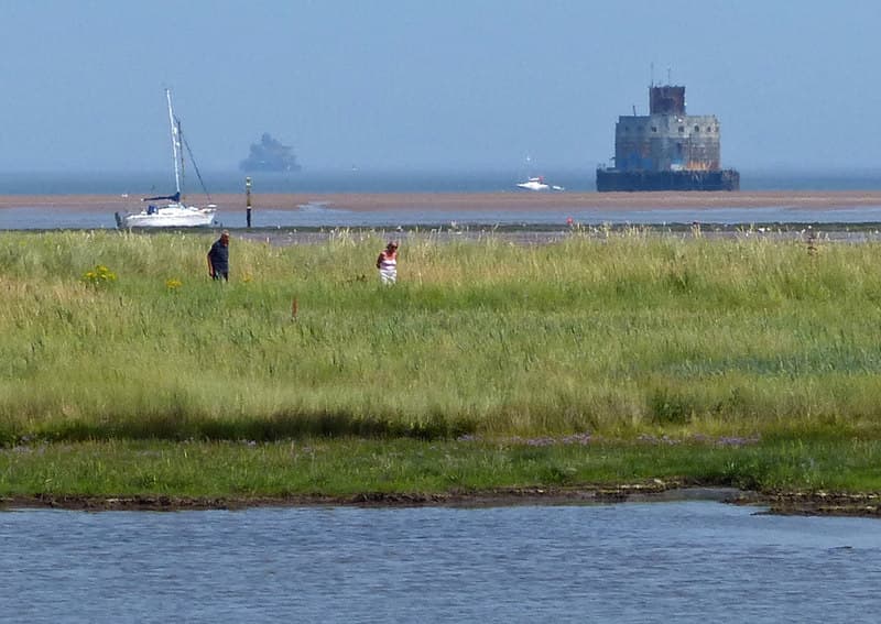 RSPB Tetney Marshes - Main view