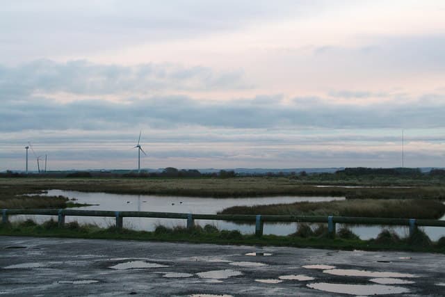 RSPB Tetney Marshes - Image 2