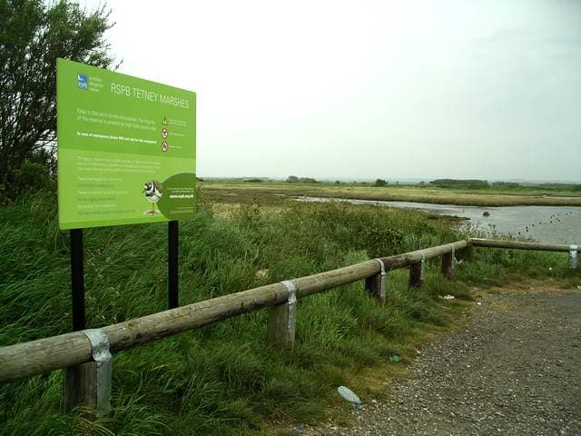 RSPB Tetney Marshes - Image 3