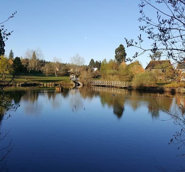 Elvetham Heath Nature Reserve - Main view