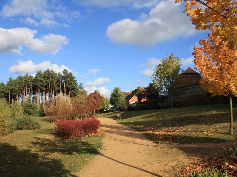 Elvetham Heath Nature Reserve - Image 2