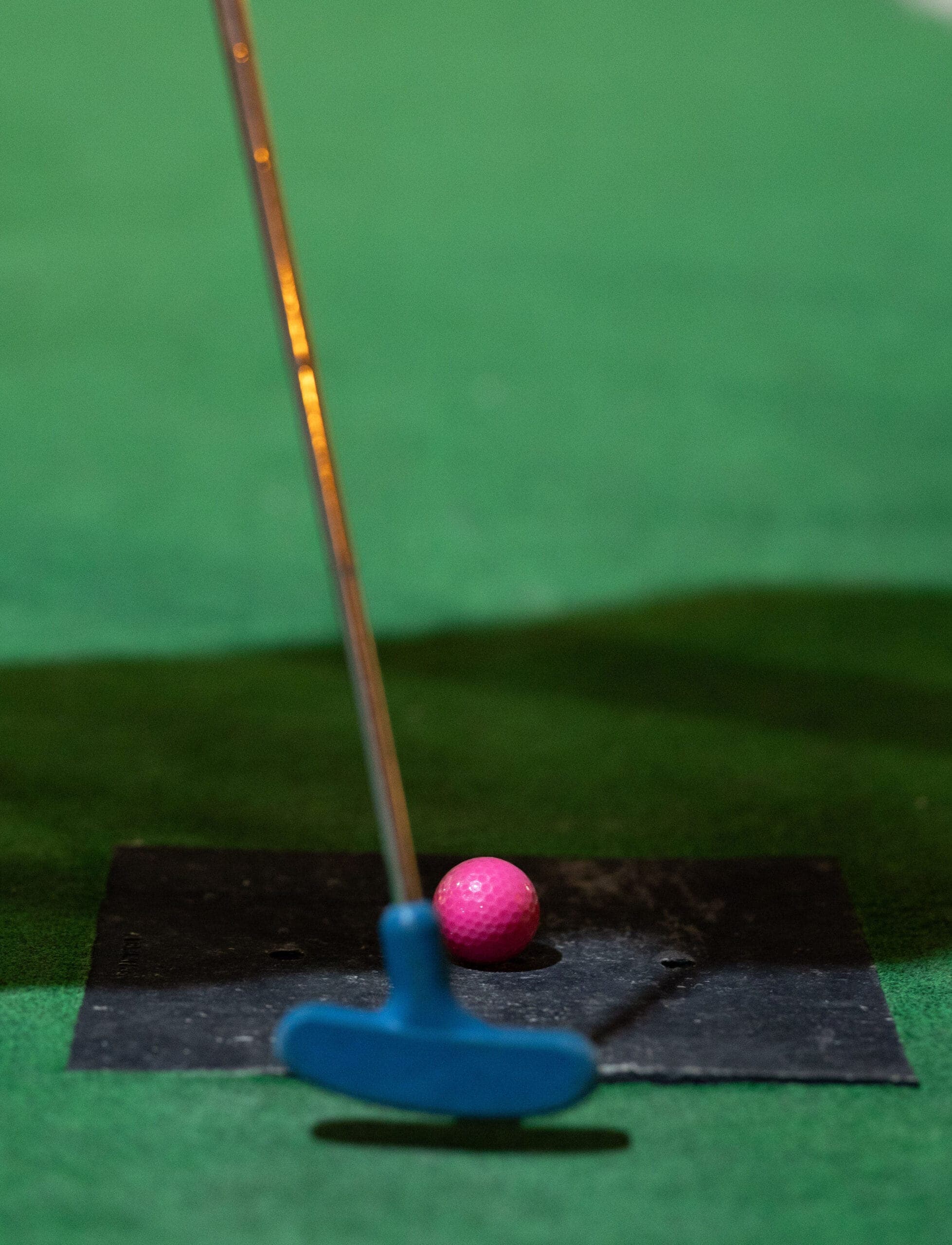 Paradise Island Adventure Golf Glasgow