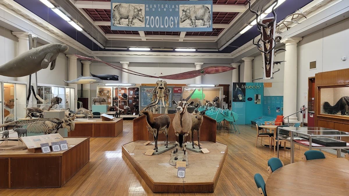 Hunterian Zoology Museum - Image 2
