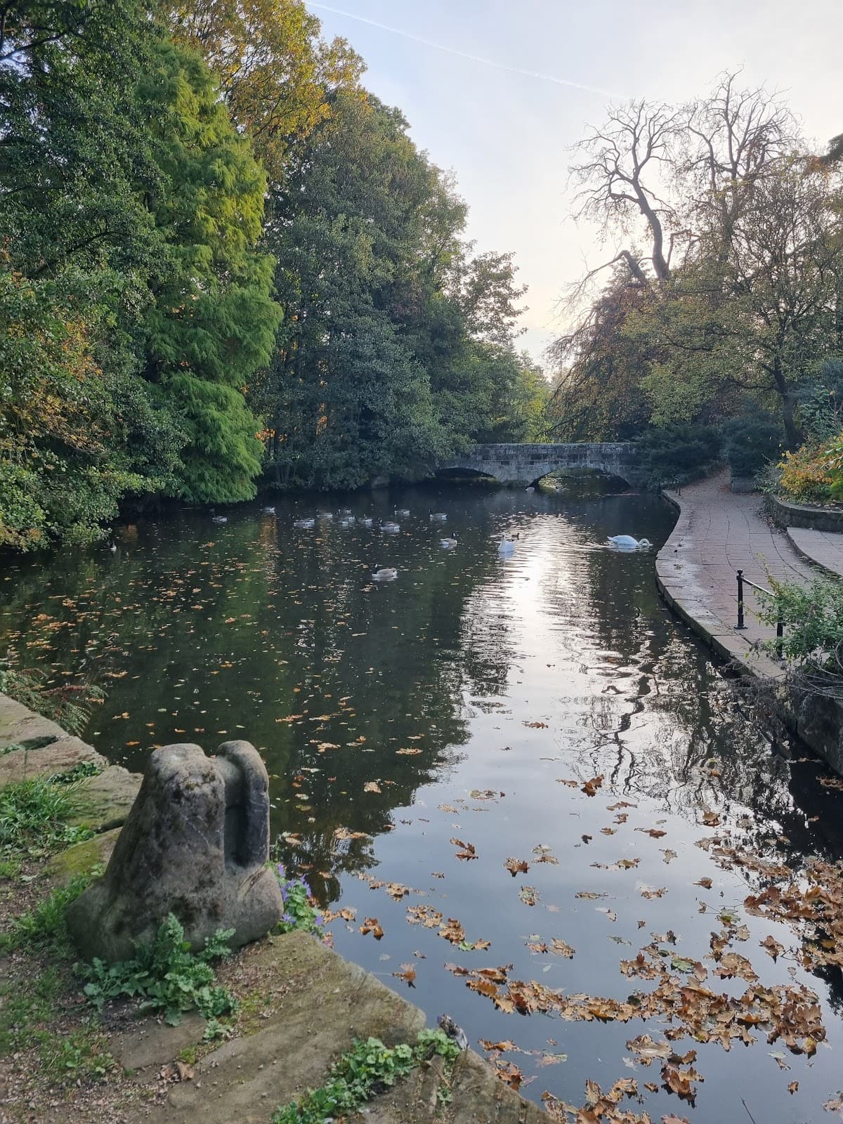 Markeaton Park - Image 4