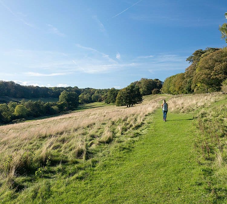 Brockhill Country Park - Image 2
