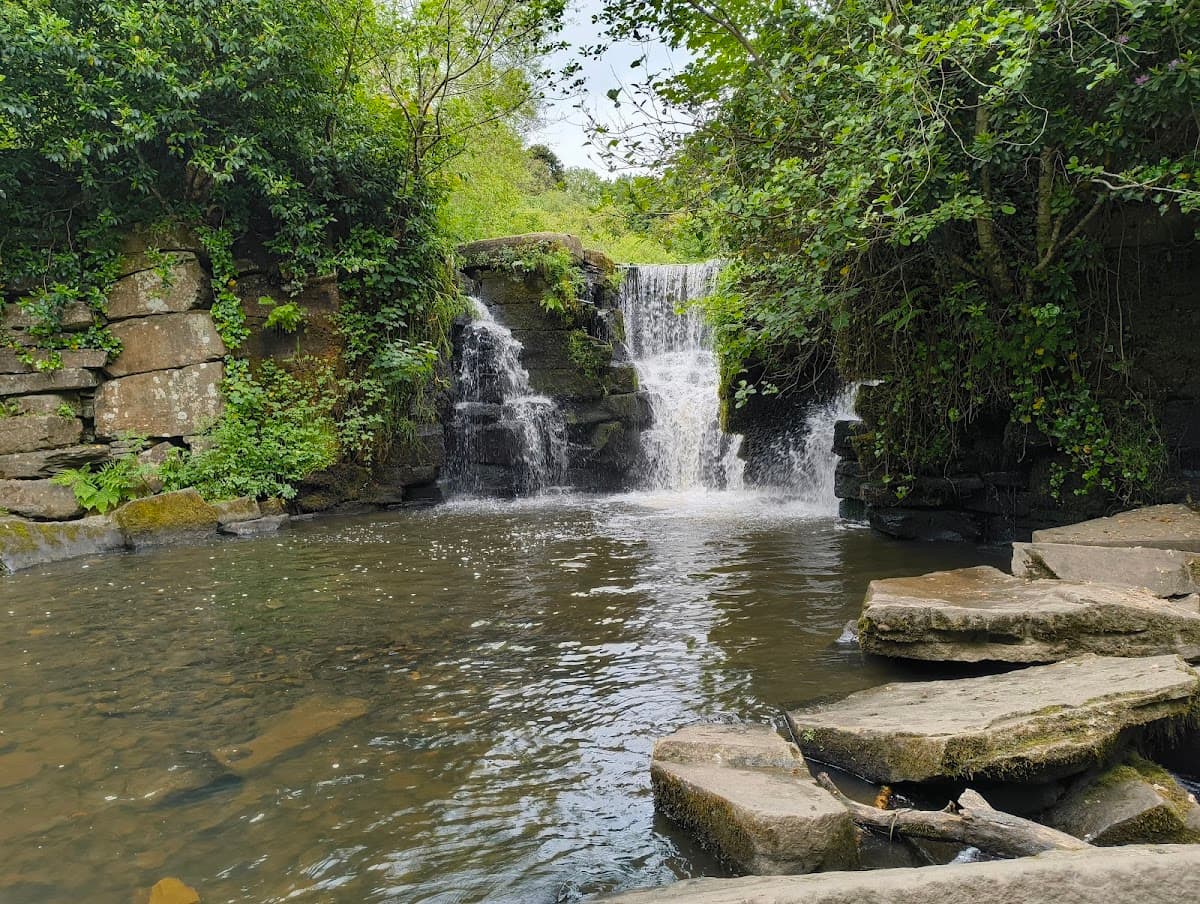 Penllergare Valley Woods - Main view