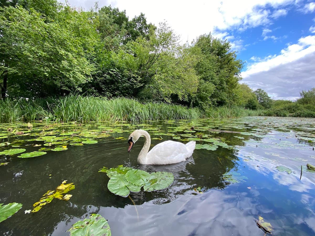 Phyllis Currie Nature Reserve - Main view