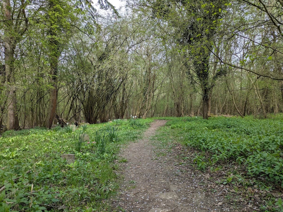 Phyllis Currie Nature Reserve - Image 3