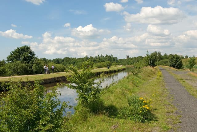 Wigan Flashes Local Nature Reserve - Image 3