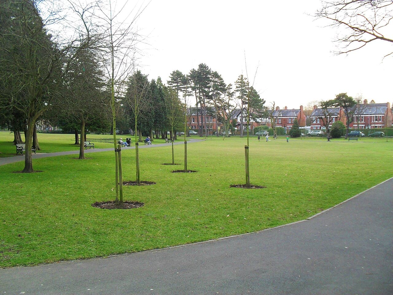 Drumglass Park - Main view