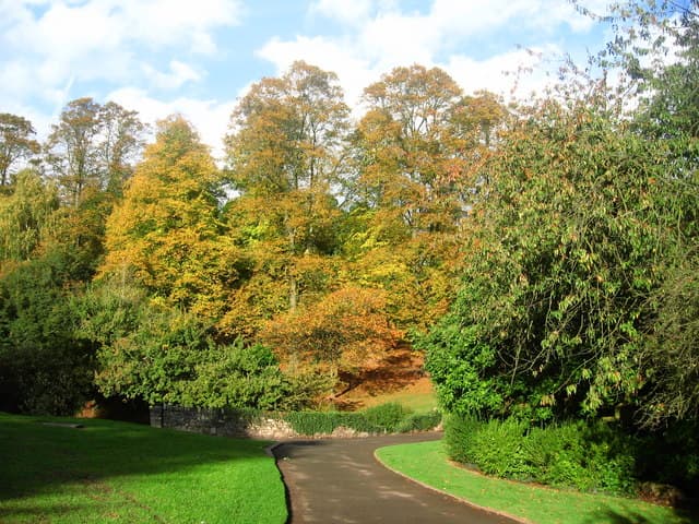 Beechwood Park - Main view