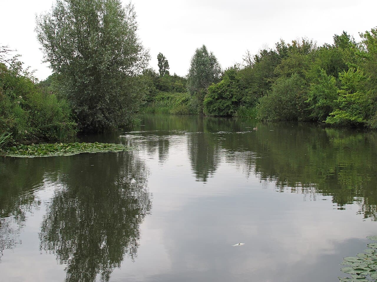 Eastbrookend Country Park - Main view