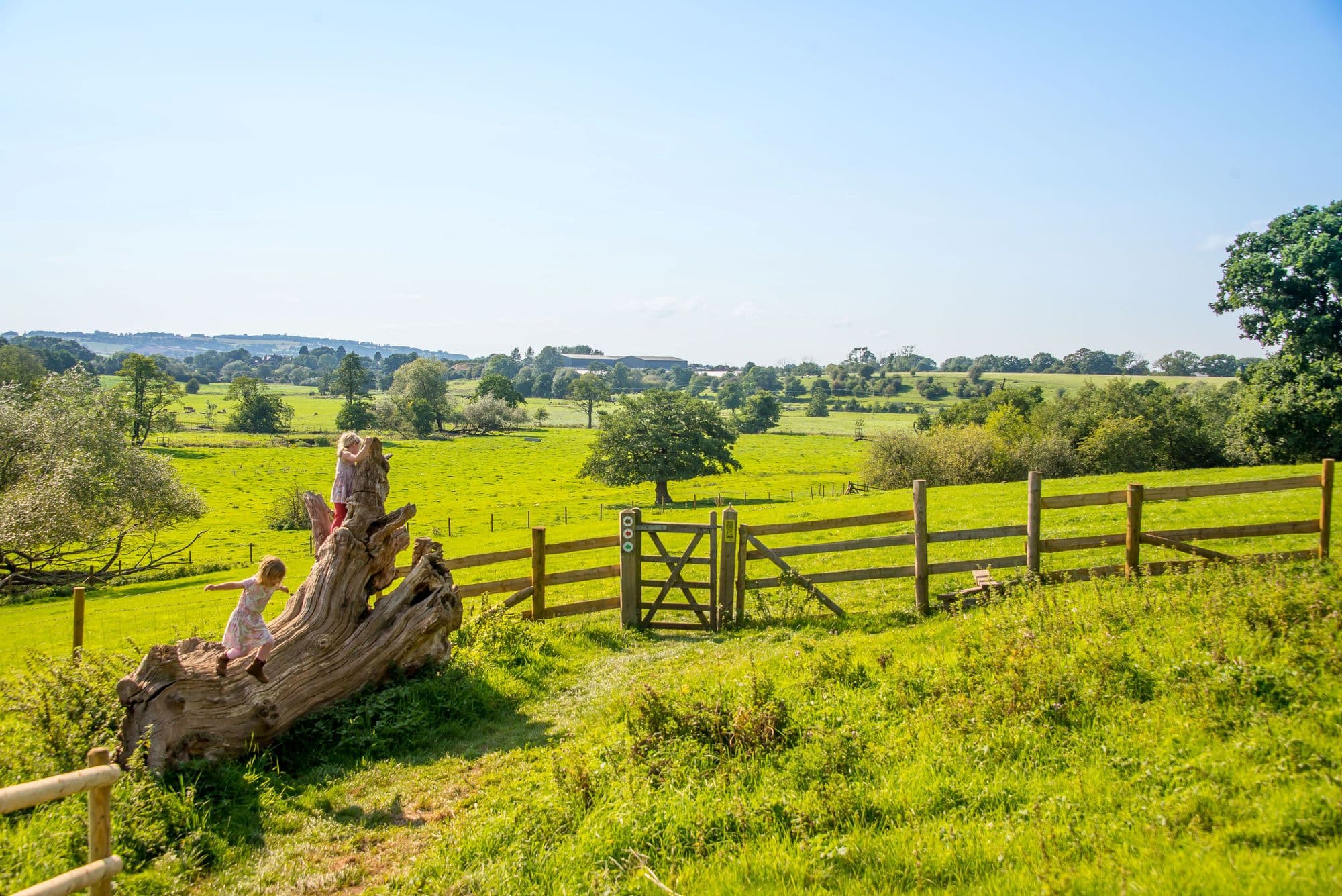 Fordhall Organic Farm - Image 3