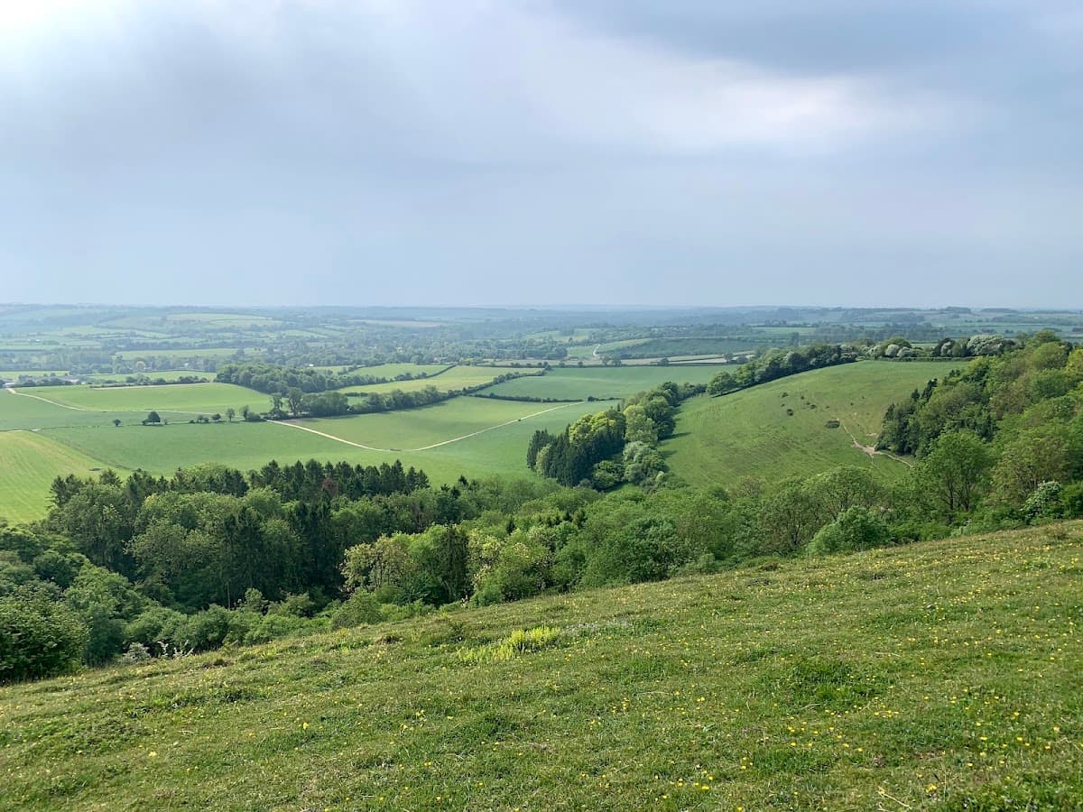 Beacon Hill National Nature Reserve - Image 1