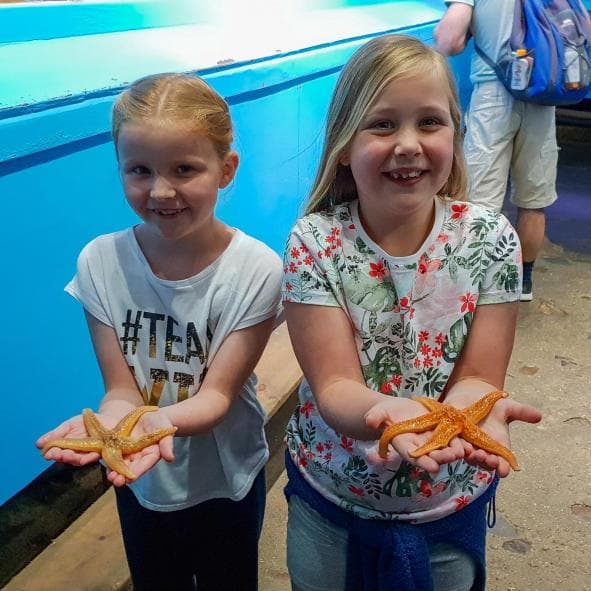 Lyme Regis Marine Aquarium - Image 2