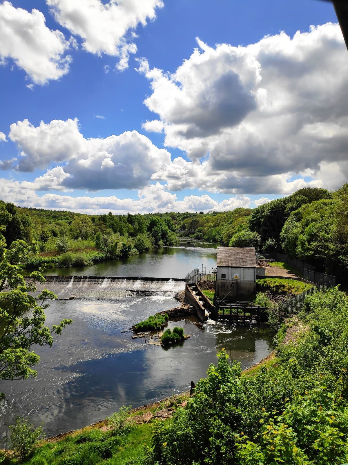 David Livingstone Birthplace - Image 3