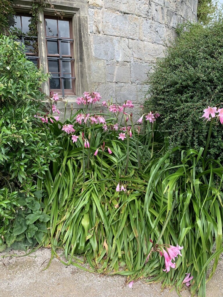 Chirk Castle - Image 4