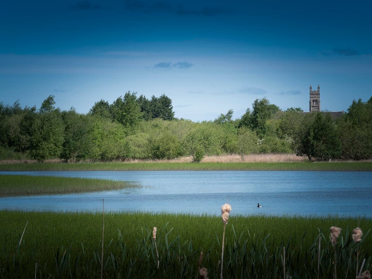 Greenhead Moss Nature Reserve - Main view
