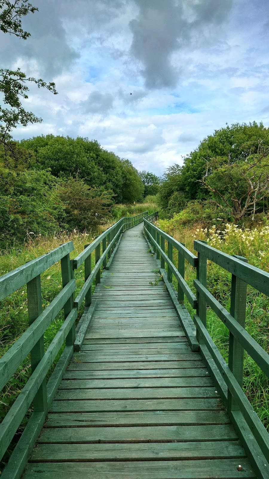 Greenhead Moss Nature Reserve - Image 2