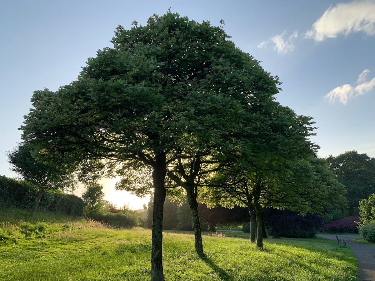 Newlands Park - Image 2
