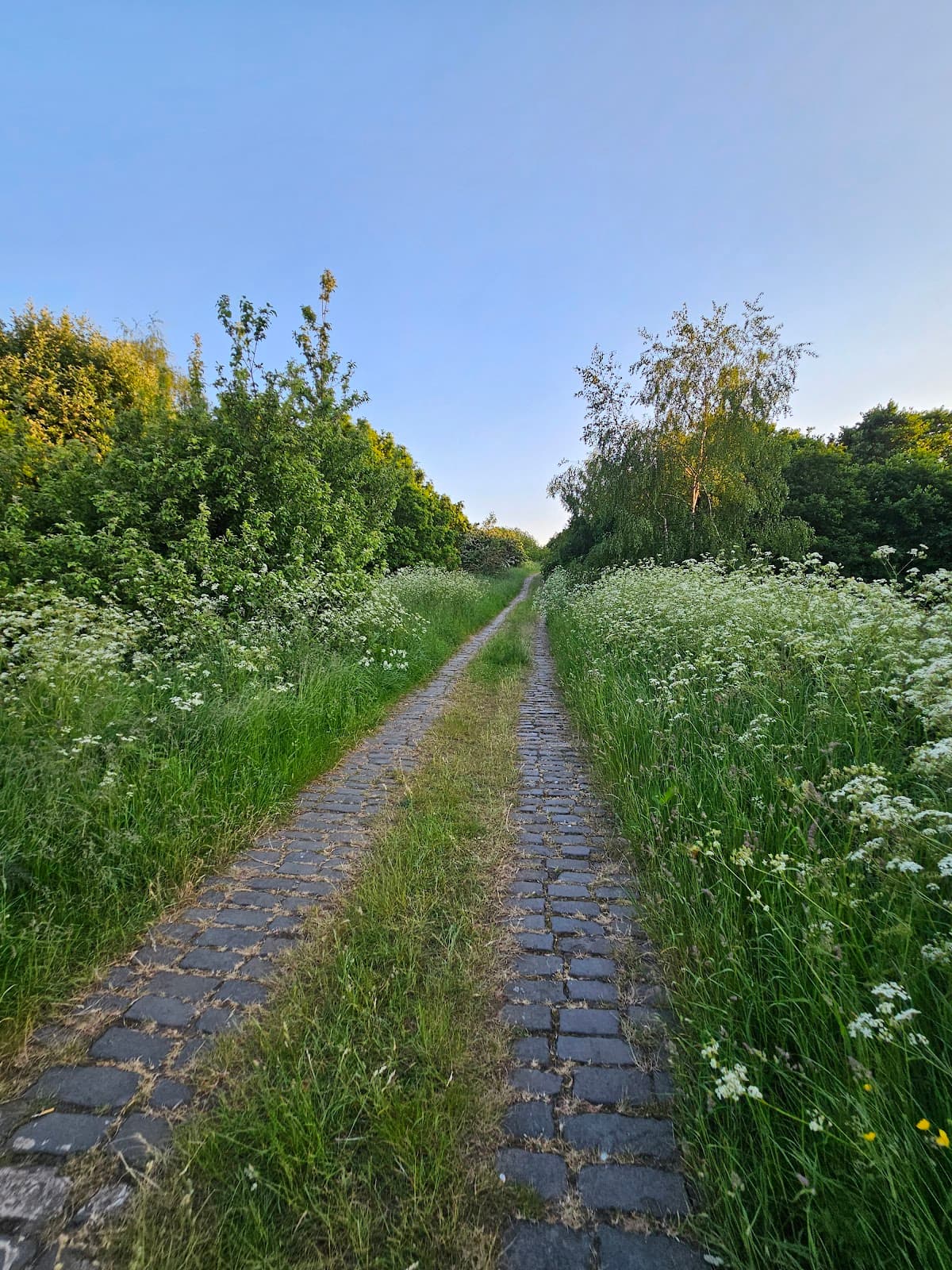 Wincobank Hill - Image 2