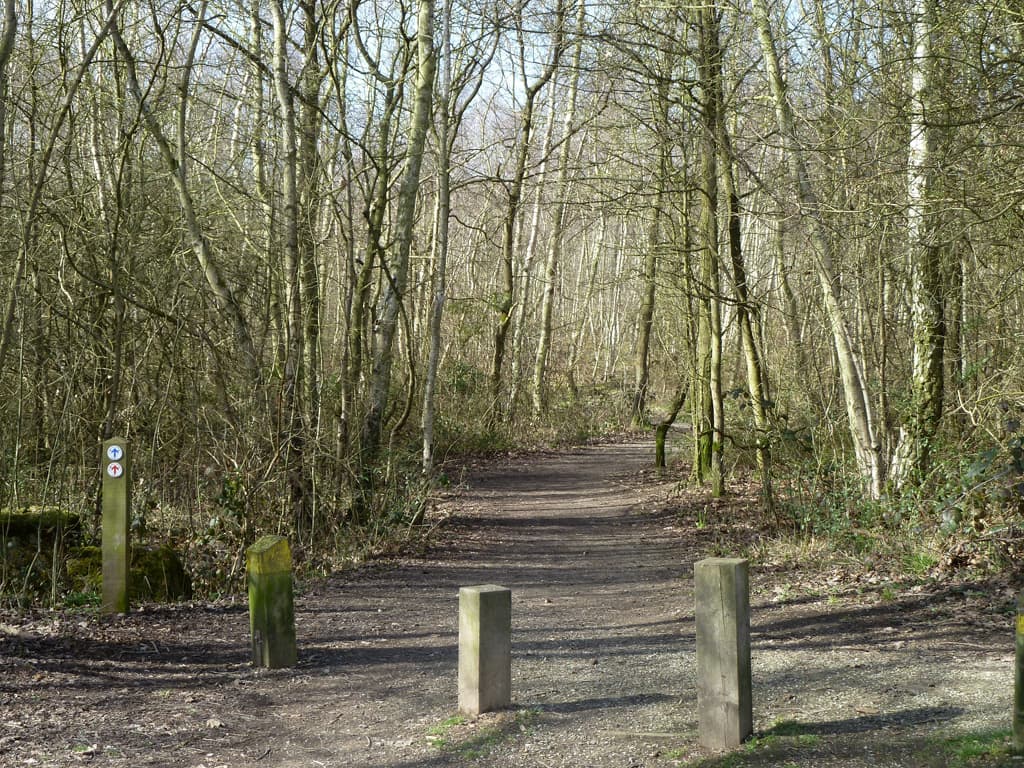 Beacon Wood Country Park - Image 1