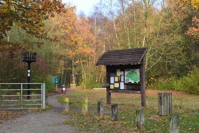 Beacon Wood Country Park - Image 2