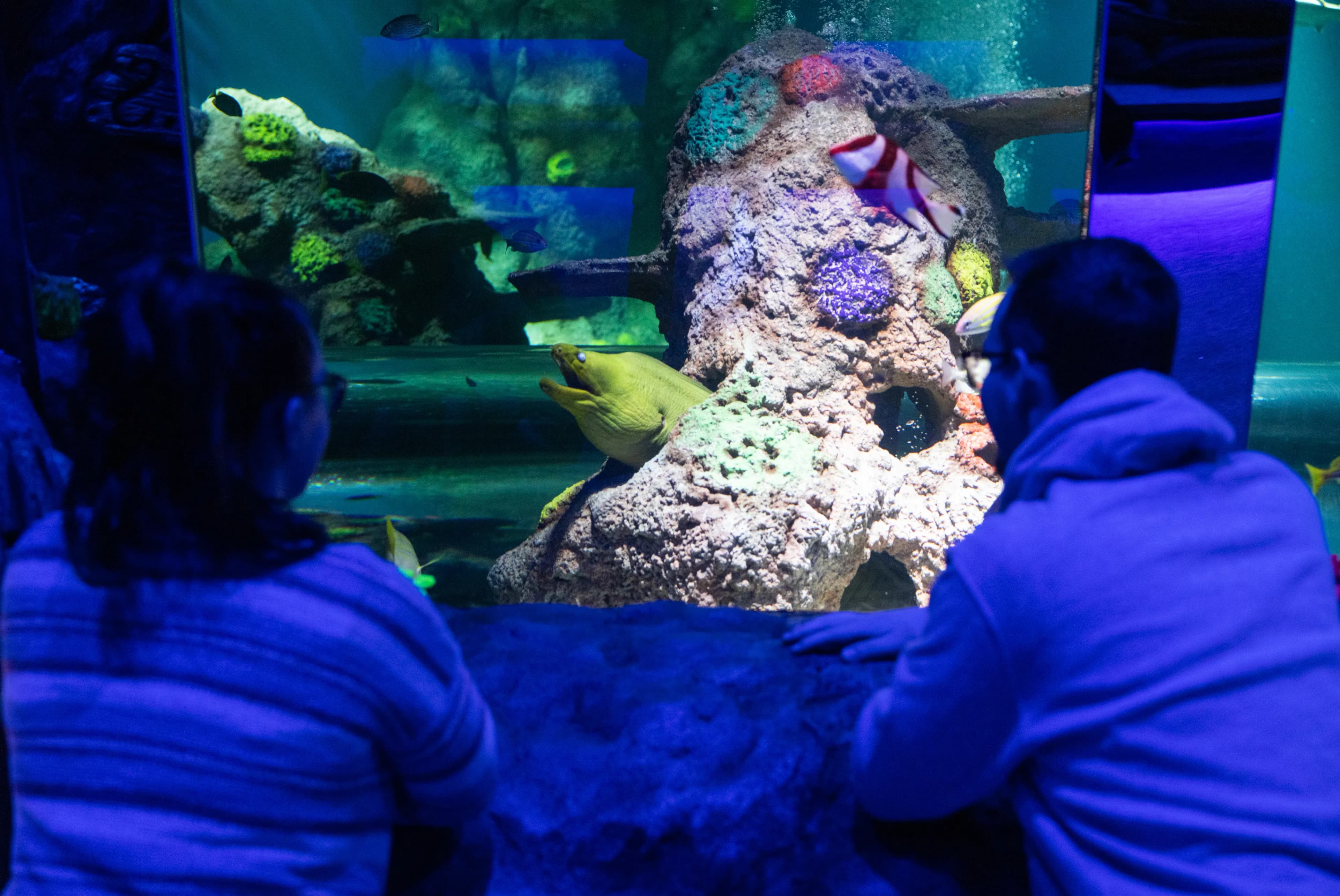 SEA LIFE Great Yarmouth - Main view