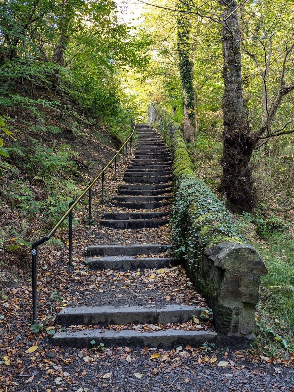 Dawsholm Park - Image 3