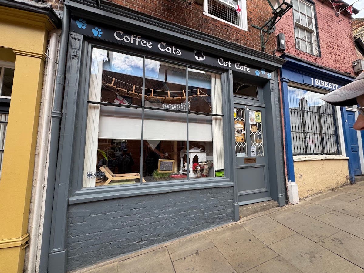 Coffee Cats - Image 1