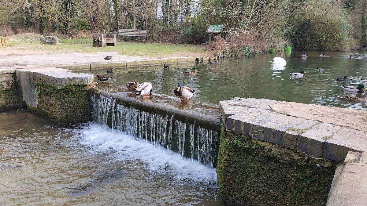 Cherry Hinton Hall Park - Main view