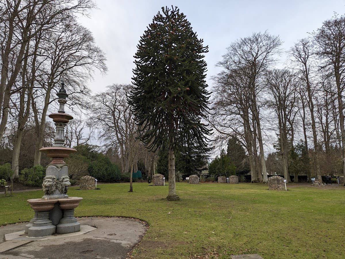 Hazlehead Park - Main view