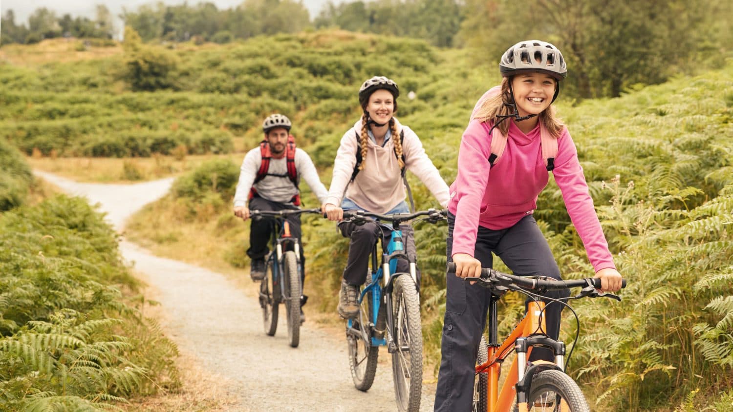 Tarka Trail Cycle Hire - Main view