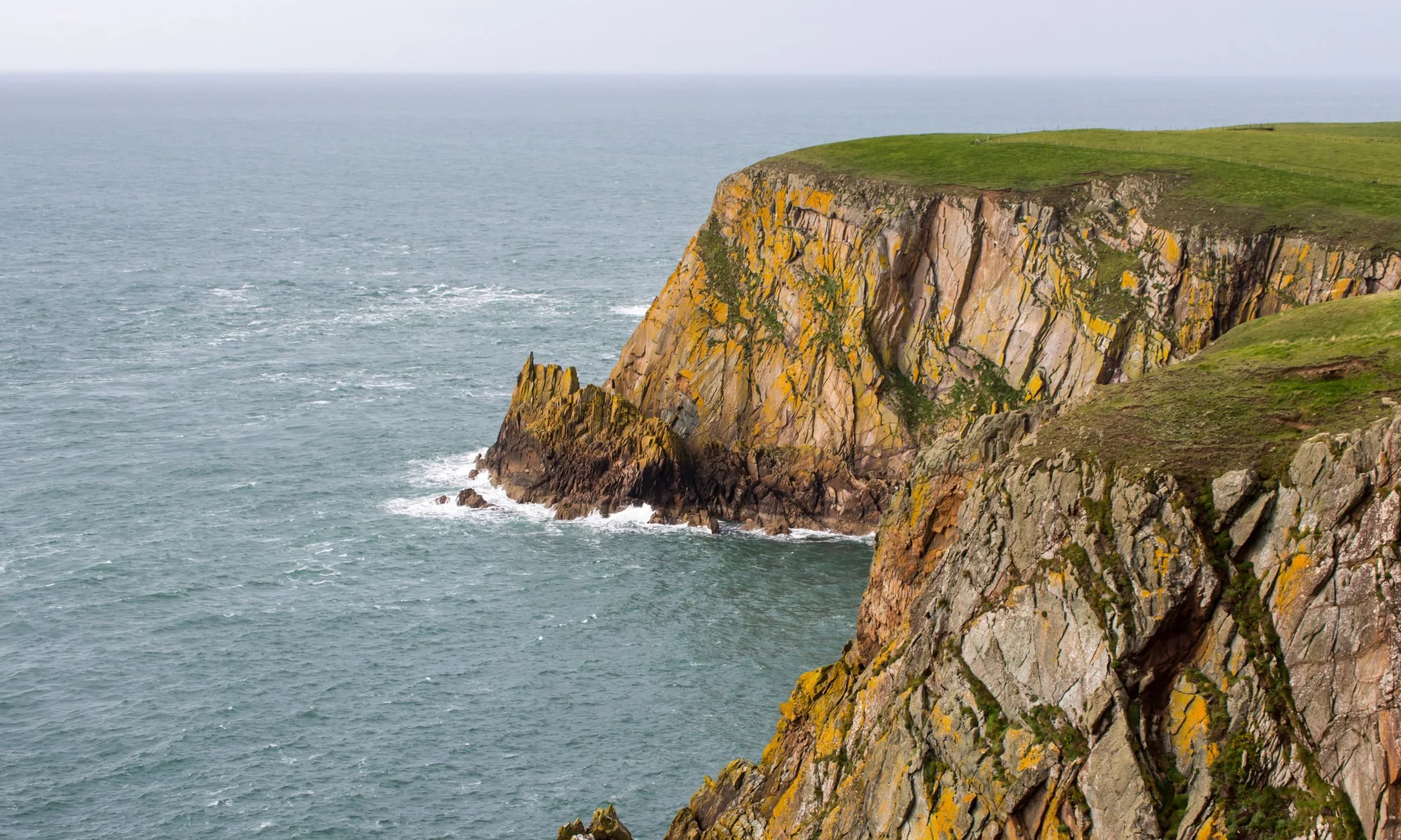 RSPB Mull of Galloway Visitors Centre - Image 3