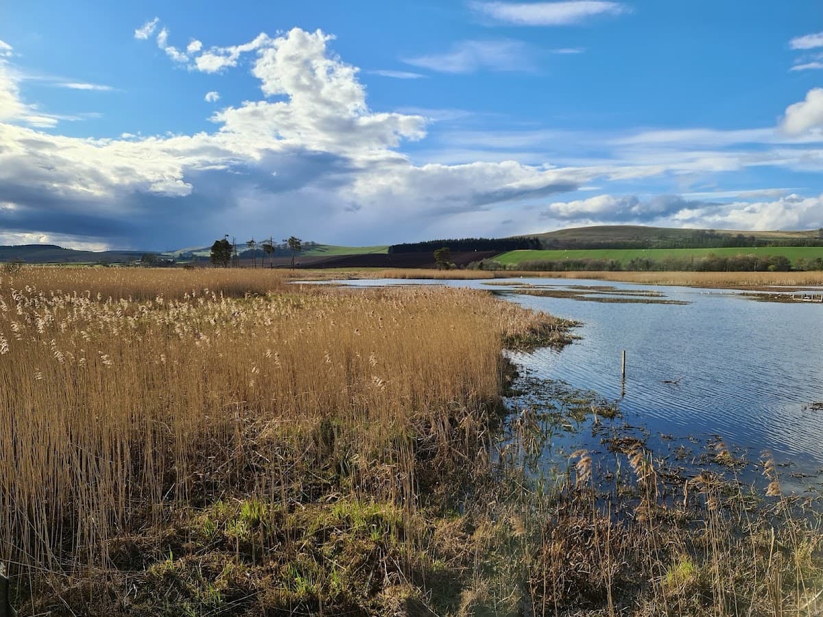 RSPB Scotland Loch of Kinnordy - Main view