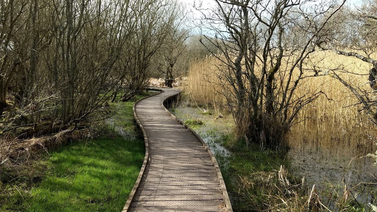 RSPB Scotland Loch of Kinnordy - Image 2