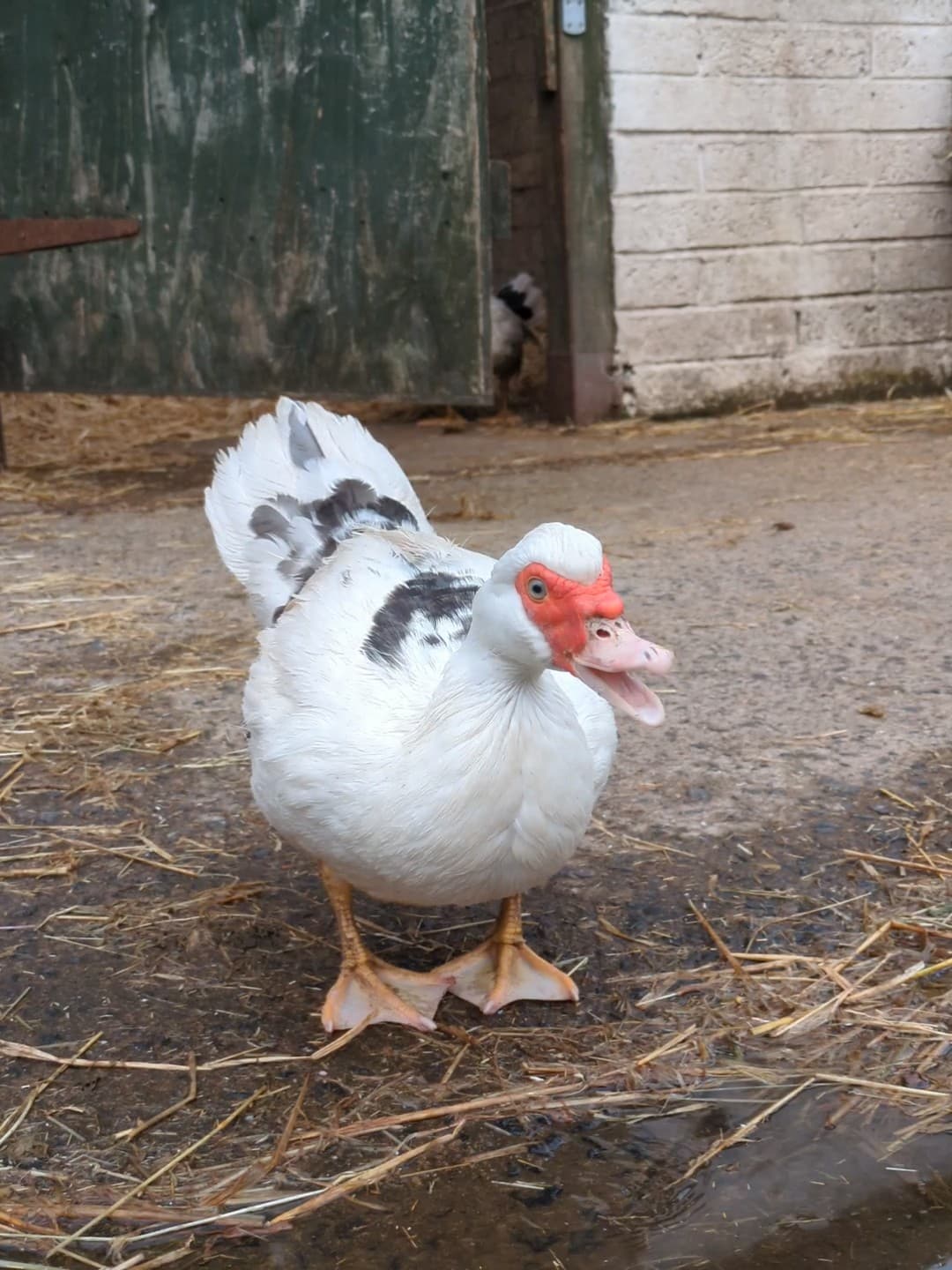 Lamont Farm Project - Image 2