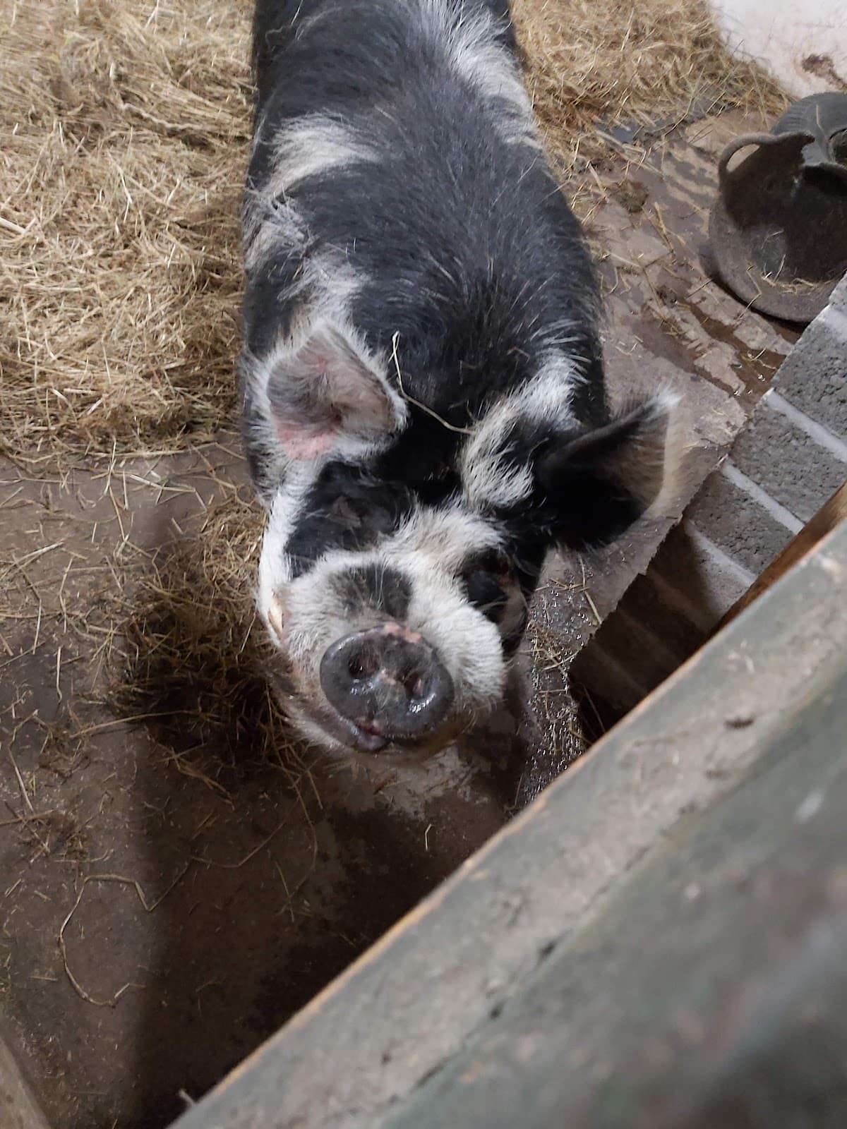 Lamont Farm Project - Image 3