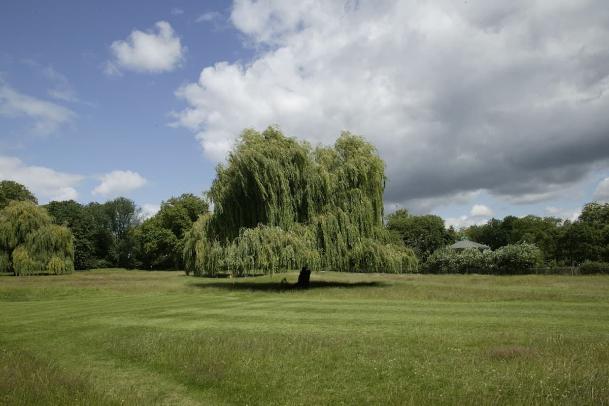 Queen's Park - Image 2