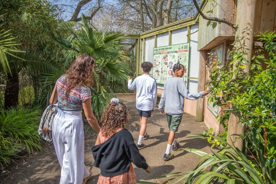 Newquay Zoo - Image 2