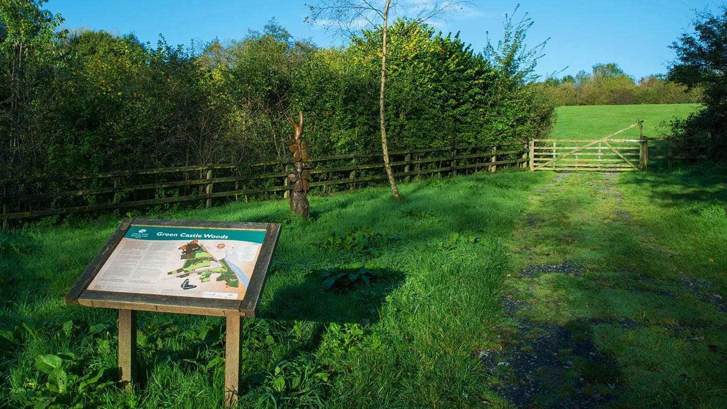 Green Castle Wood - Image 2
