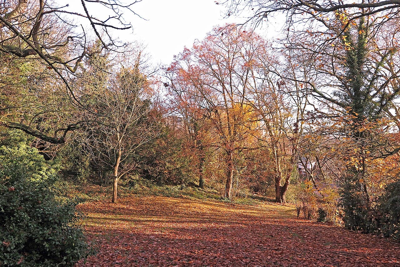 Maryon Park - Image 1