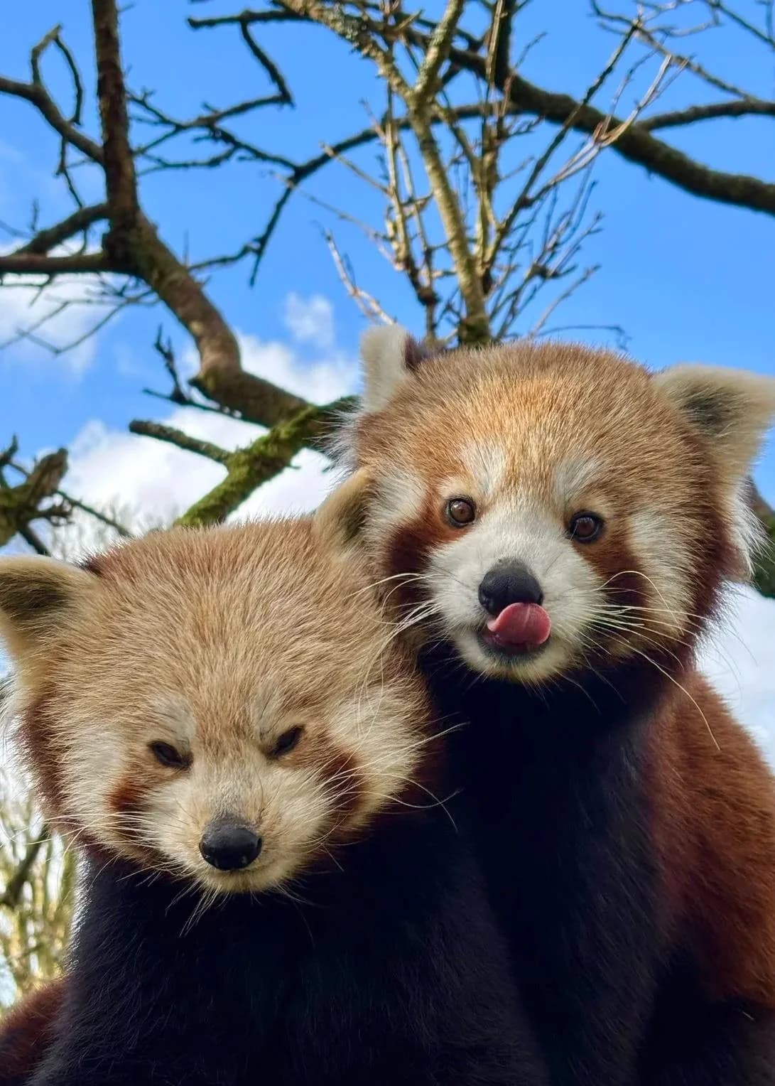 Manor Wildlife Park - Image 2