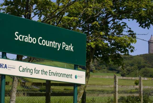 Scrabo Country Park - Image 3