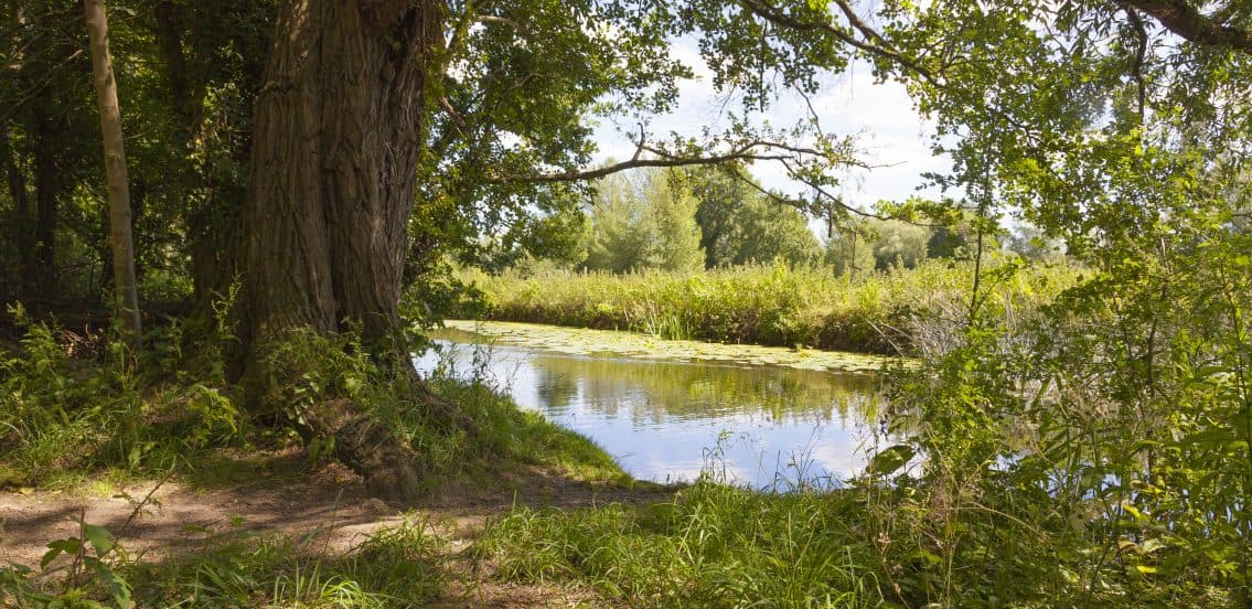 Clare Castle Country Park Trust - Image 4