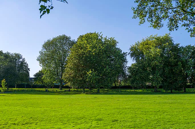 Alexandra Park - Image 2